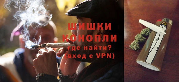 трава Щучье